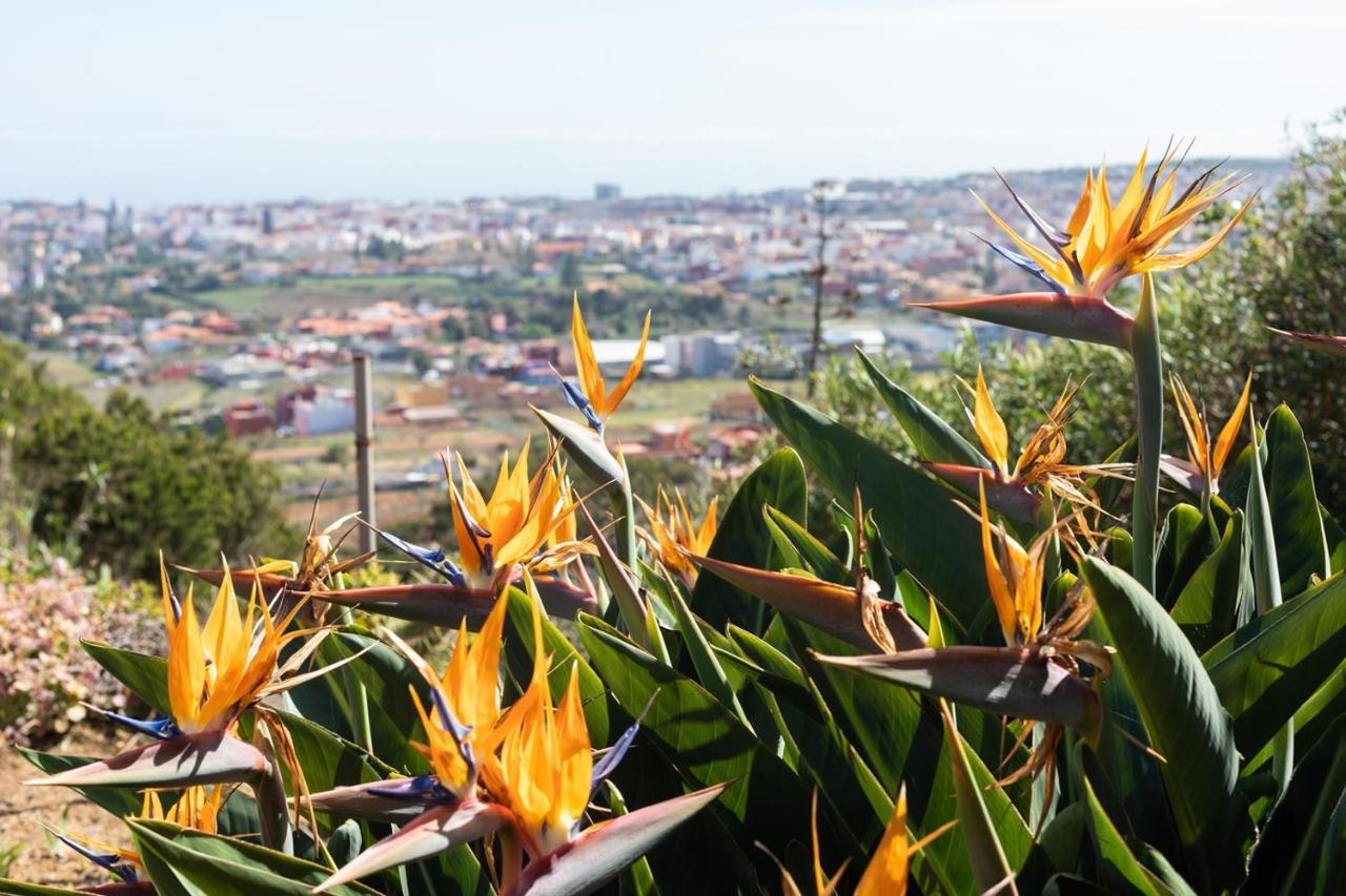 Live La Laguna Casita Vieja Villa Exterior foto